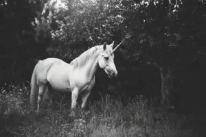 the unicorn a legendary creature , in a dark forest