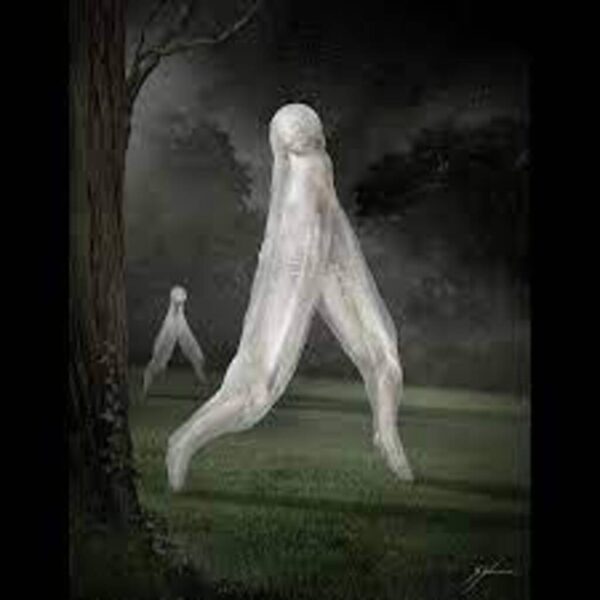 Illustration of a Fresno Nightcrawler, its slender form moving silently