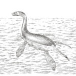 LOCH NESS MONSTER