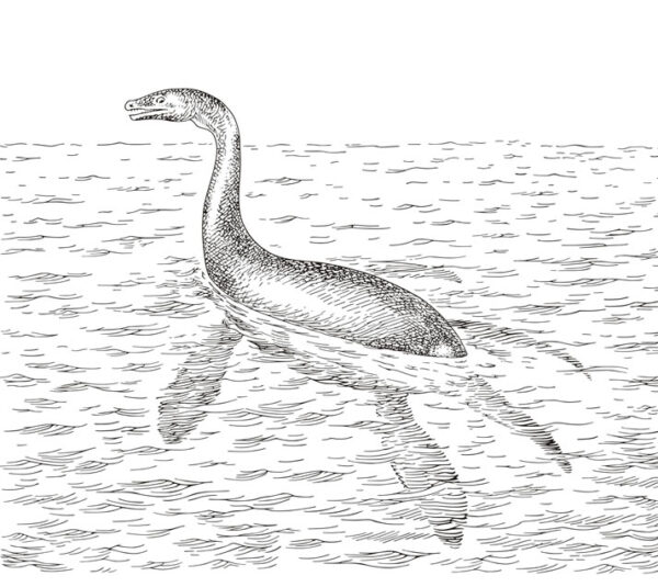 drawing of the Lochness Monster Creature